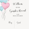 Stembord Gender Reveal Balloons - Afbeelding 3